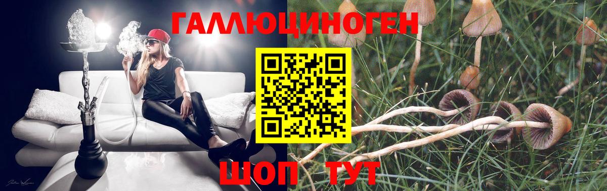 купить наркотик  Псилоцибиновые грибы MAGIC MUSHROOMS  Вход с VPN  Комсомольск-на-Амуре 